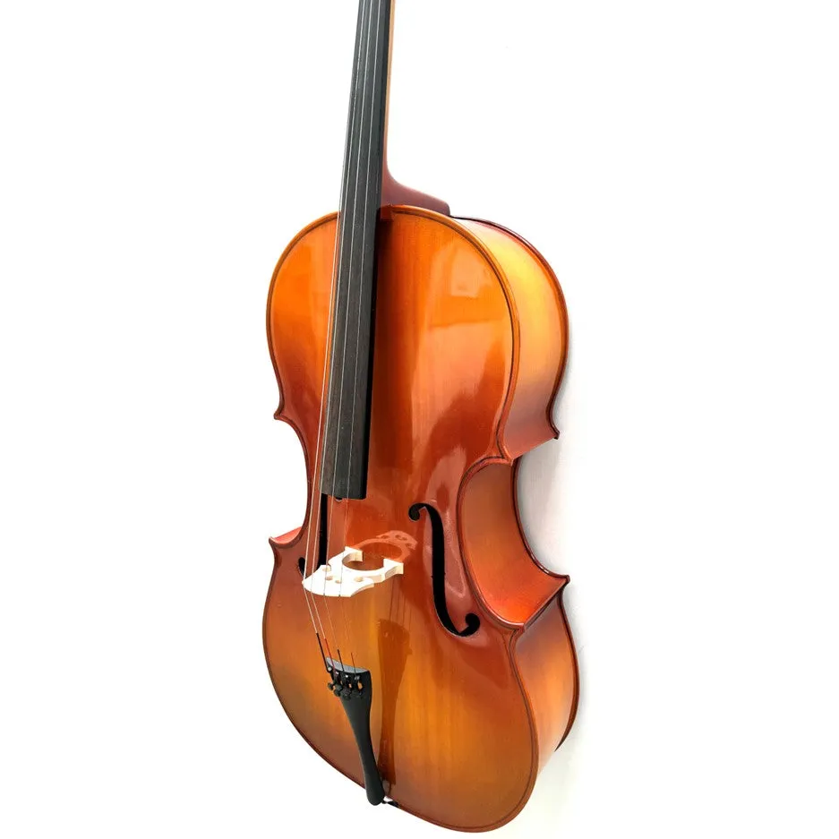 Dolphin Cello - 4/4 S/H w/ bag and bow
